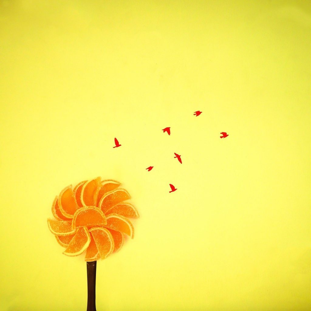 tree, creative, birds