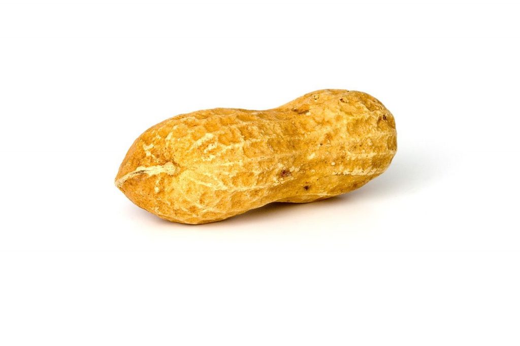peanut, peanuts, nut-1750.jpg